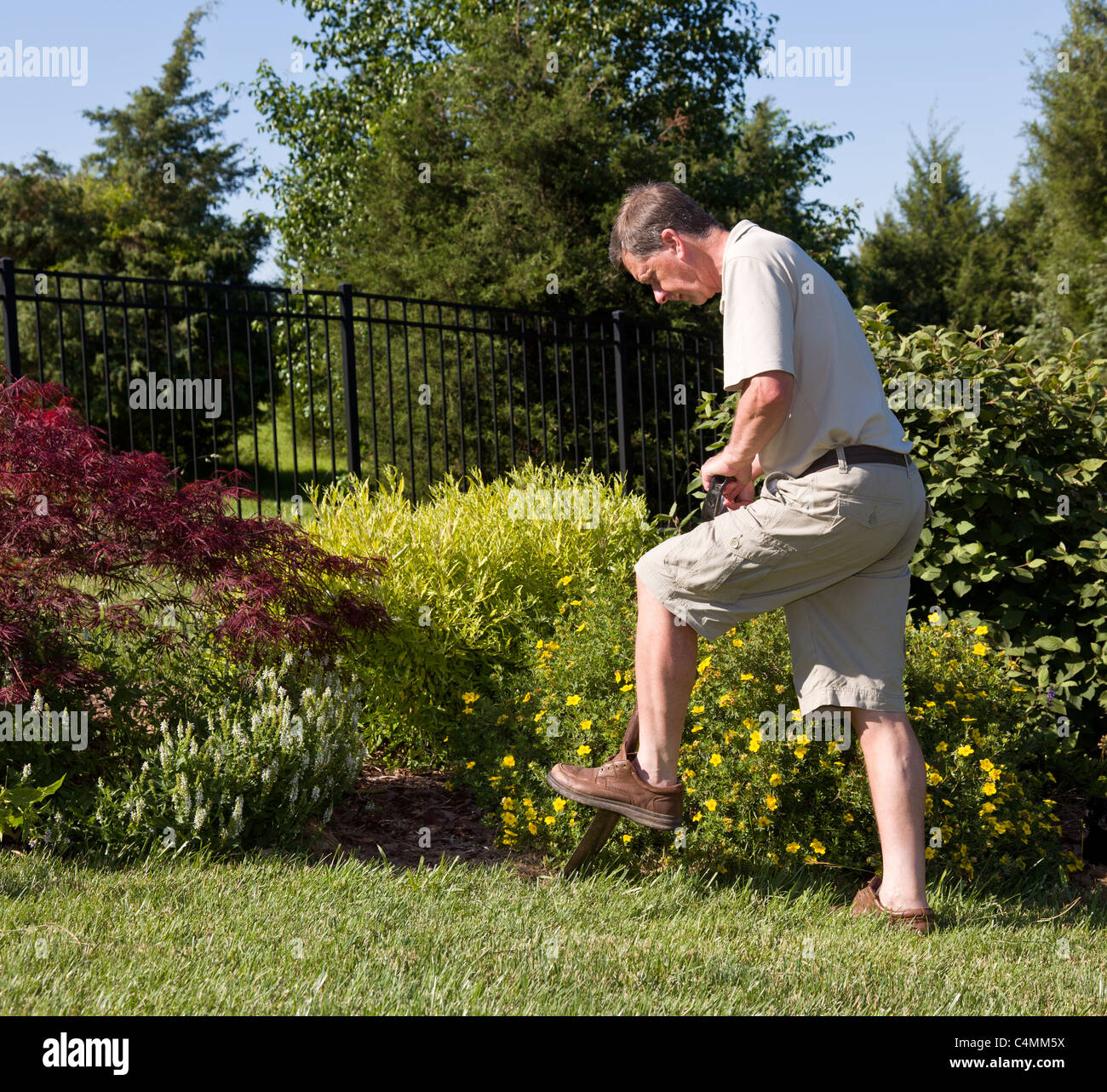 Mittleren Alter / ehemaliger Senior für Unkraut im Blumenbeet in seinem Garten zu graben Stockfoto