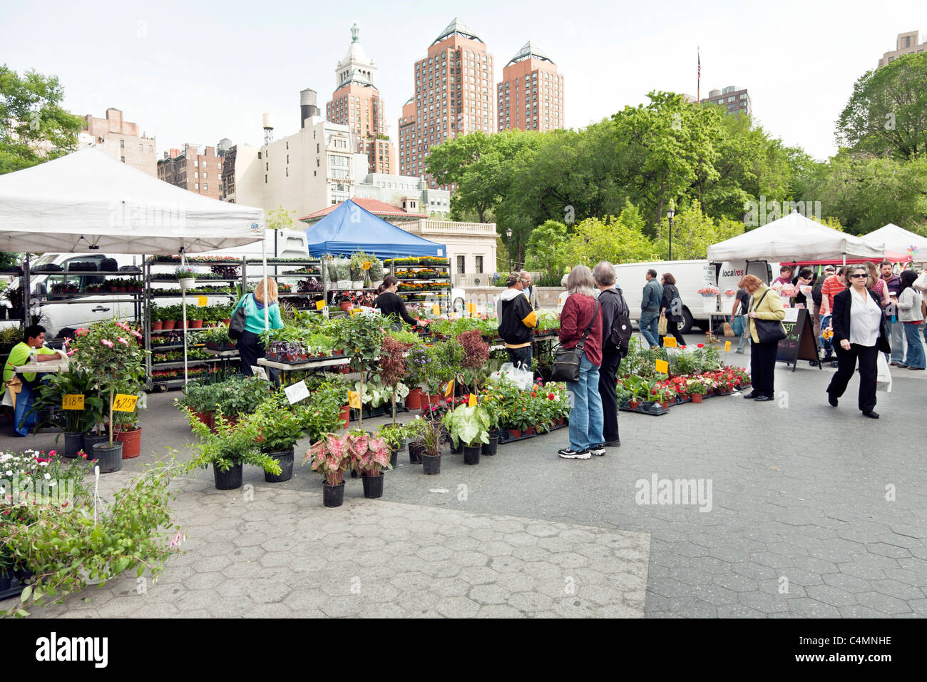 Fülle von blühenden Pflanzen Sträucher im städtischen Garten Stall am Union Square grünen Bauernmarkt New York City Stockfoto