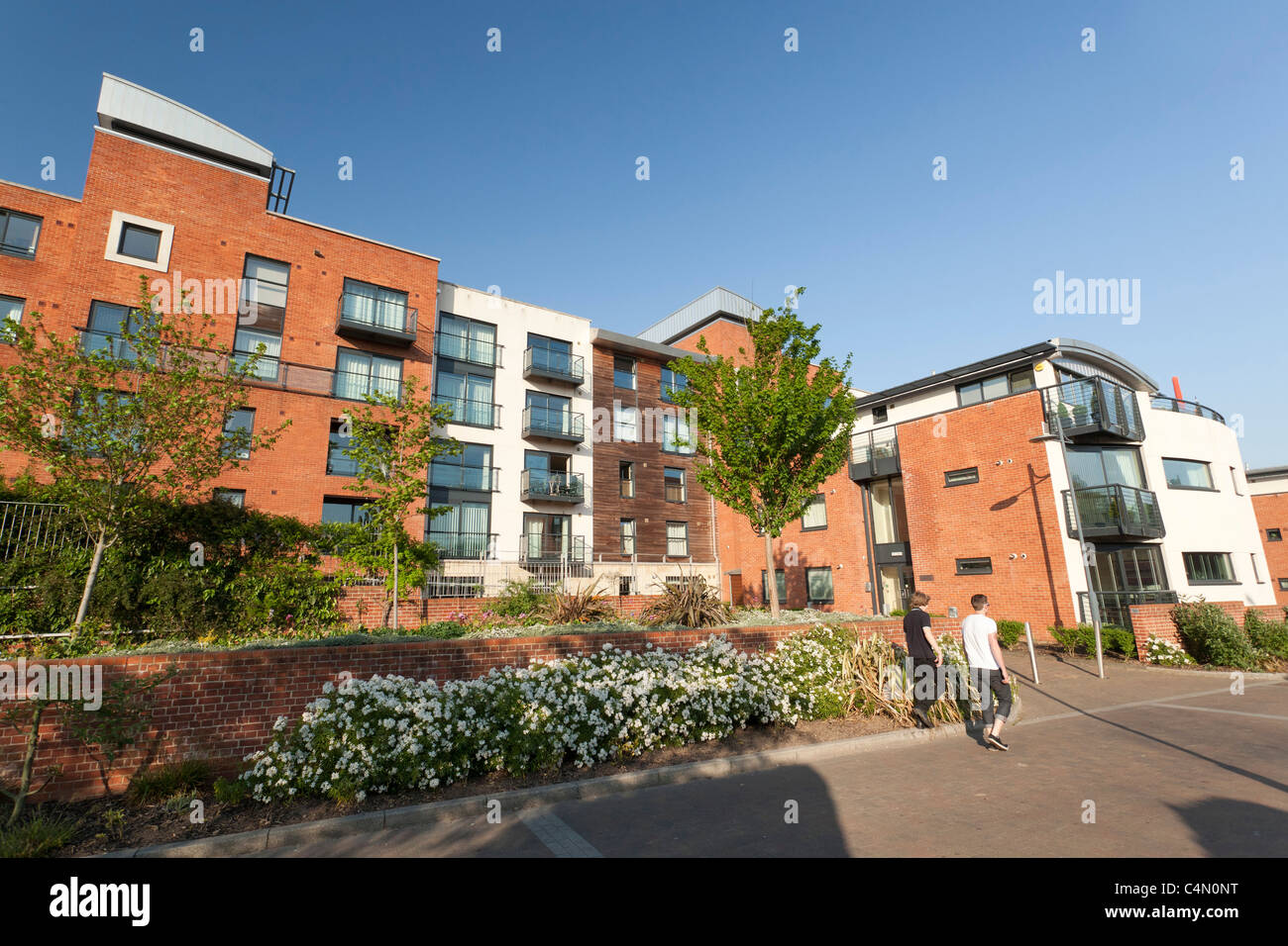 Wohnung Wohnungen entlang Coburg Street, Norwich UK Stockfoto