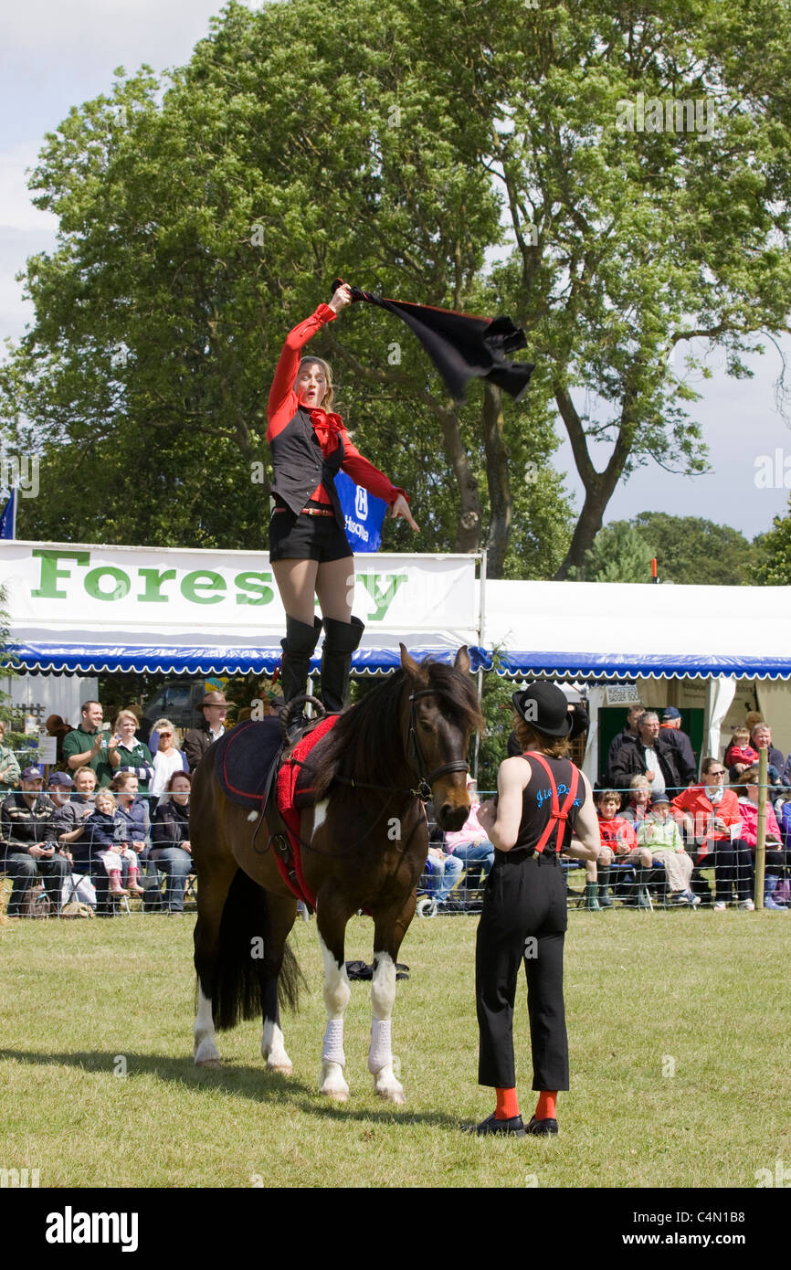 Jive Pony eine gut ausgebildete freie Arbeitspferd und Reiter Stockfoto