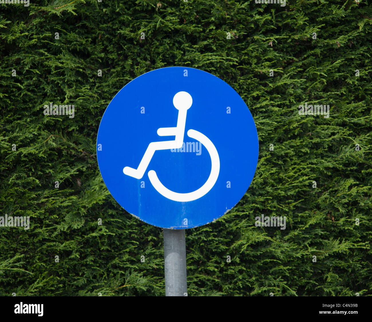 Behindertenparkschilder Stockfoto