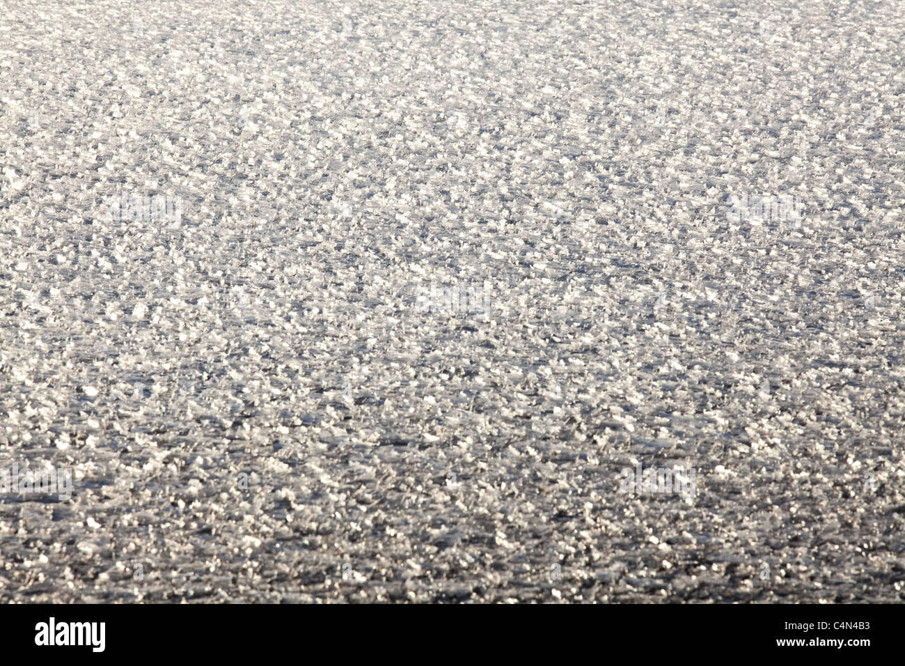 Eiskristalle, die von der Morgensonne beleuchtet. Stockfoto