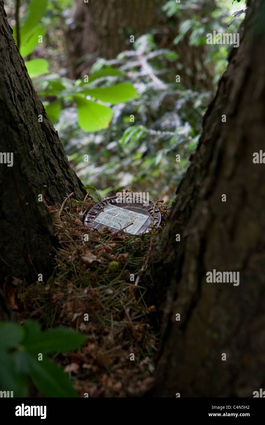 Ein Mikro Geocache gefunden in der Nähe eines Baumes Stockfoto