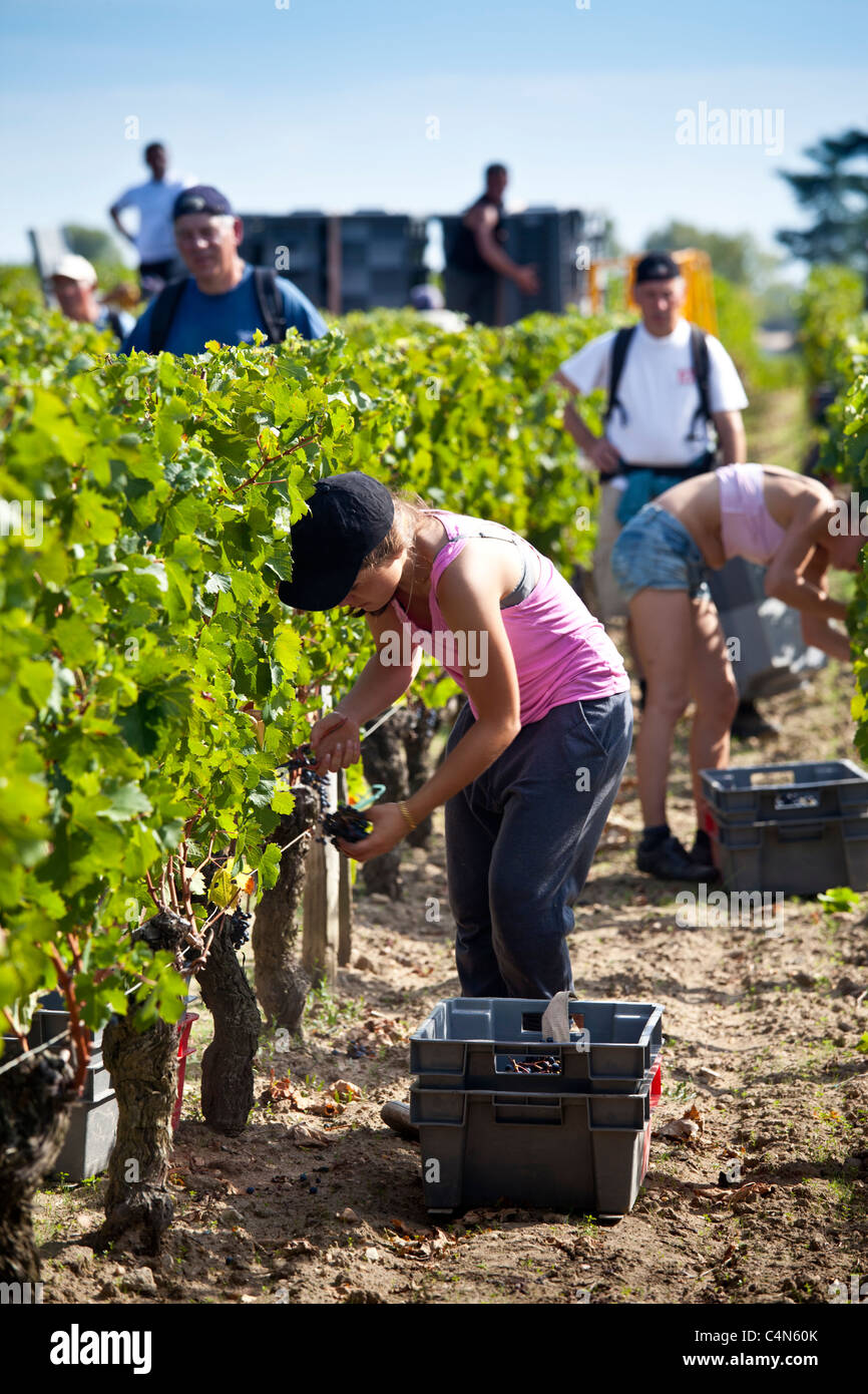 Bordeaux weinberge -Fotos und -Bildmaterial in hoher Auflösung – Alamy