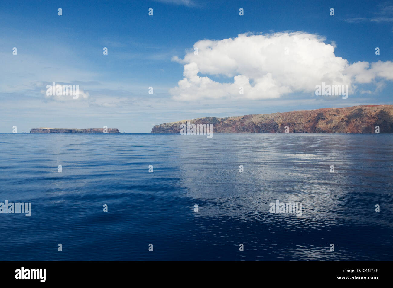 Las Desertas Inseln, Madeira, geschützte trockene Inseln. Stockfoto