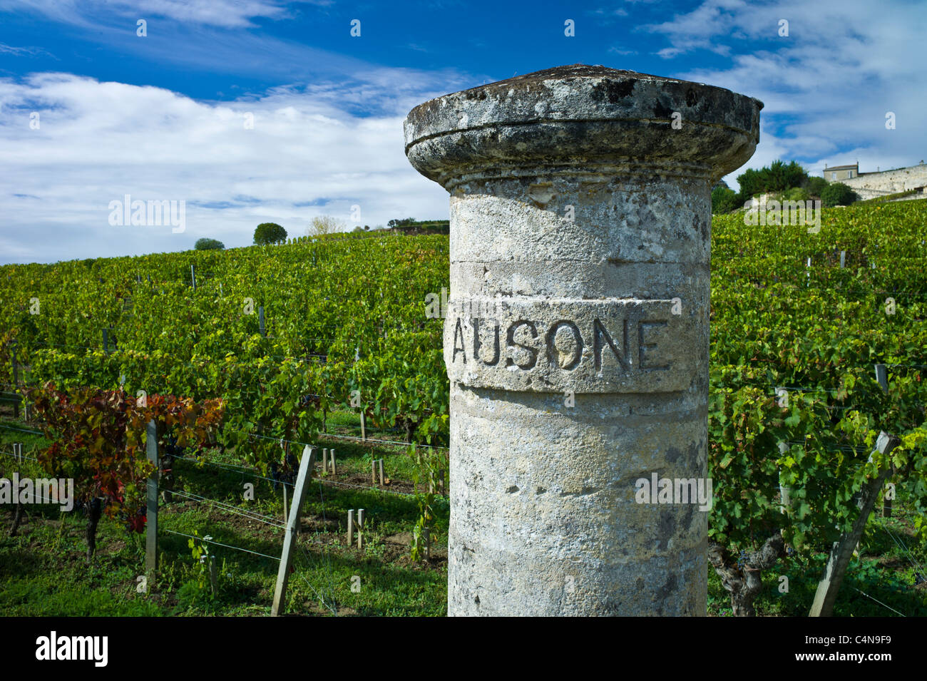 Château Ausone Weinberg in St. Emilion in Bordeaux Weinregion Frankreichs Stockfoto