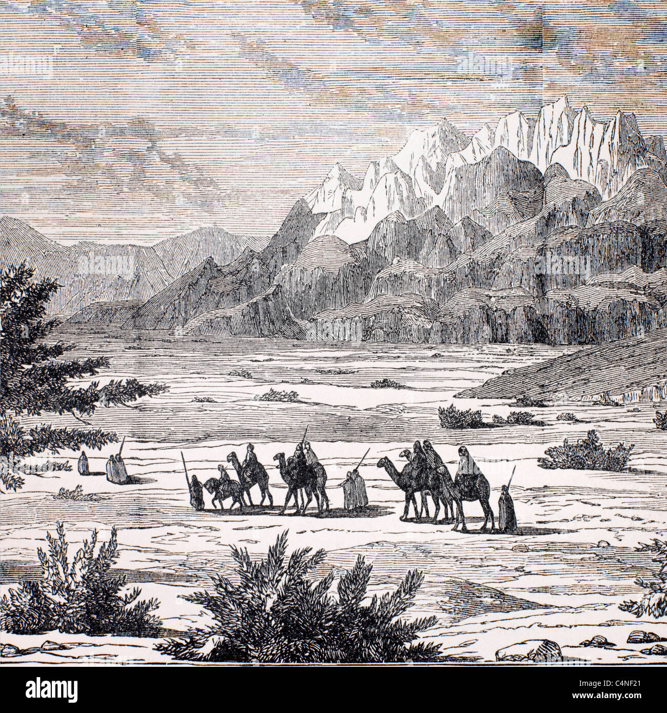 Mount seir Fotos und Bildmaterial in hoher Auflösung Alamy