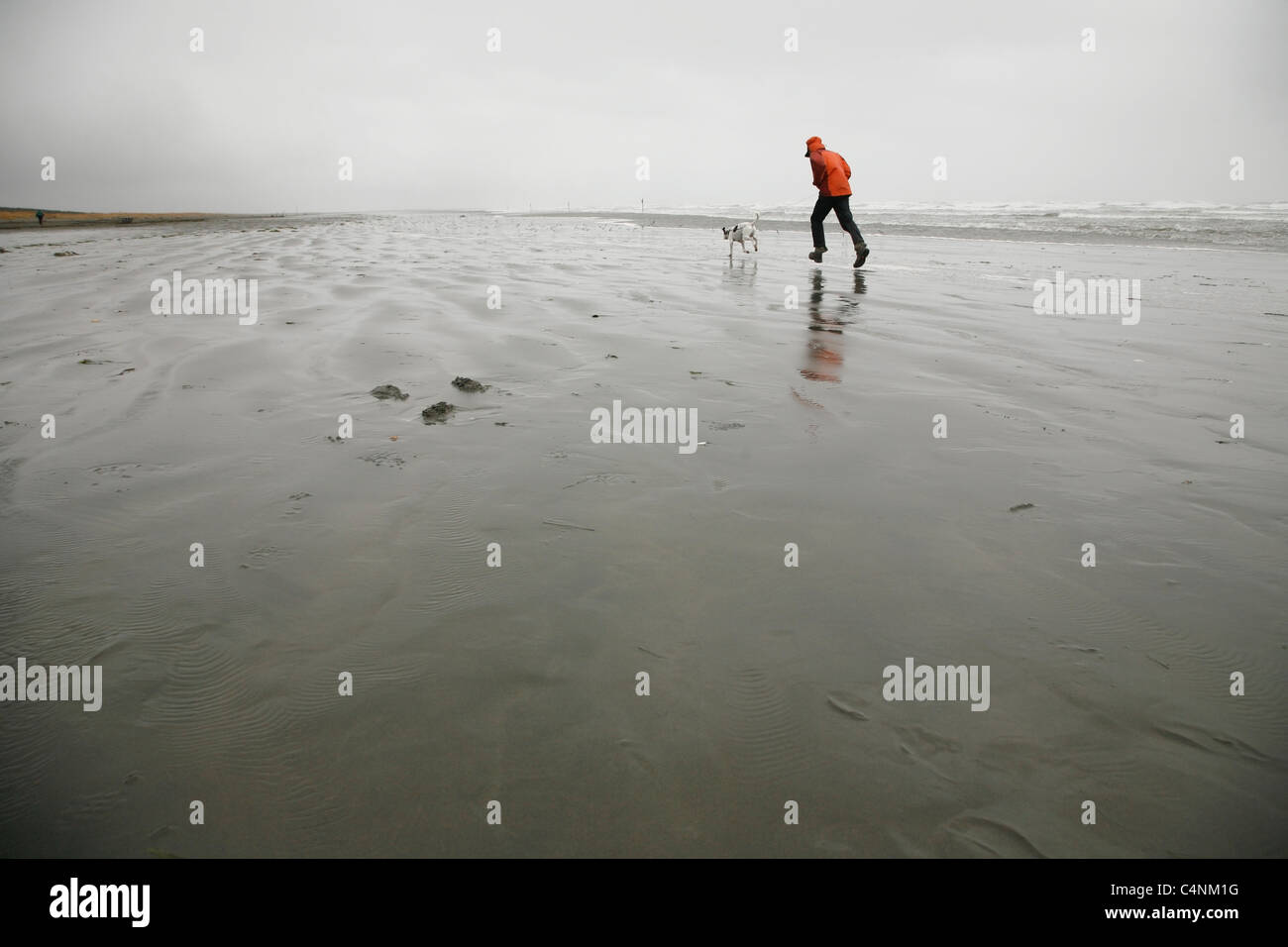 Mann mit Hund am Strand, Aberdeen, Washington läuft Stockfoto