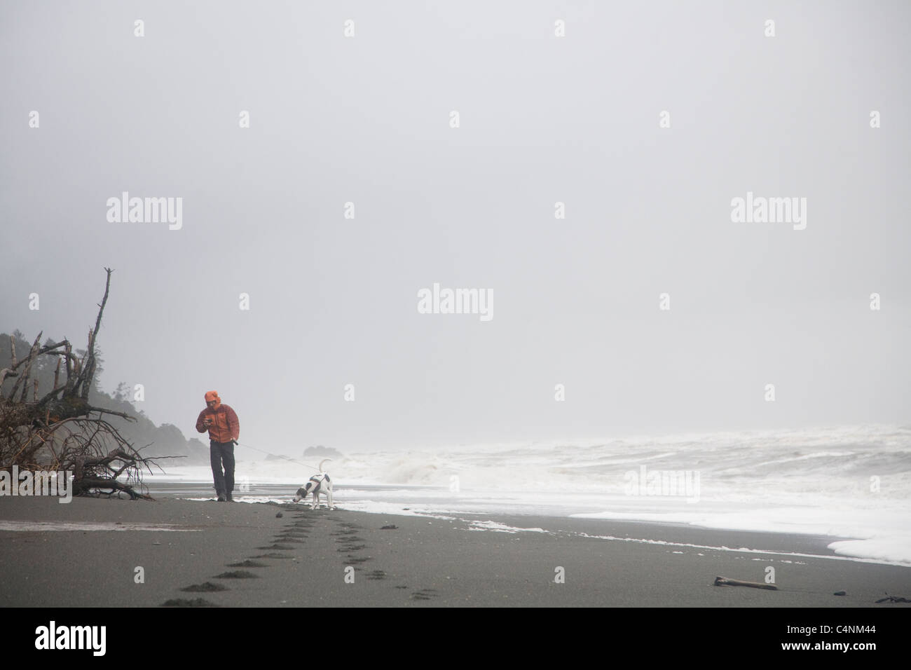 Mann mit Hund am Strand, La Push, Washington Stockfoto