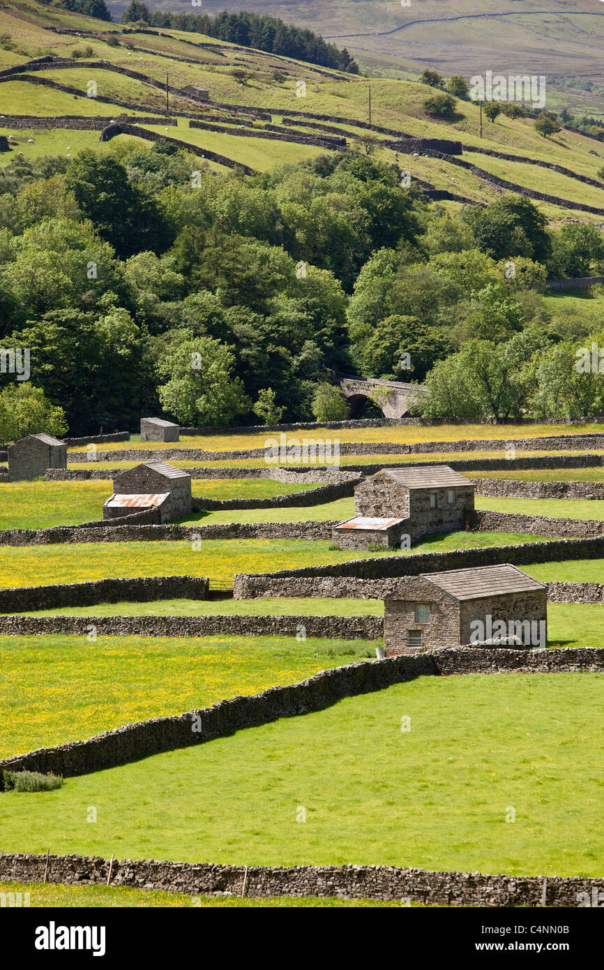 Swaledale Stein Scheunen, Gunnerside Böden, Yorkshire Dales National Park Stockfoto
