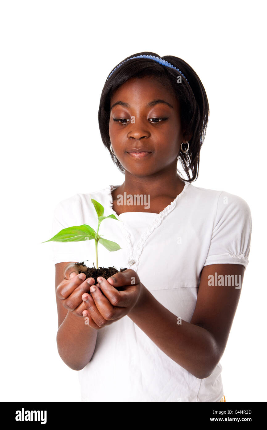 Eine junge neue Pflanze wächst von Palm in Händen von schönen afrikanischen Mädchen, isoliert. Dürre auf Erden Konzept. Stockfoto