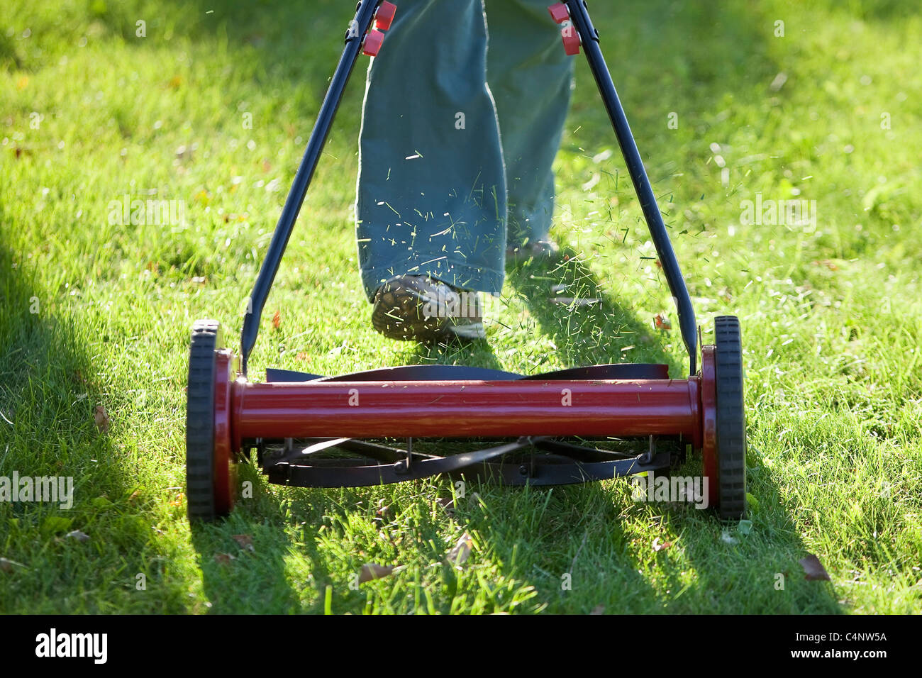 Frau mit einem umweltfreundlichen Push-Rasenmäher Rasen zu mähen.  Winnipeg, Manitoba, Kanada. Stockfoto