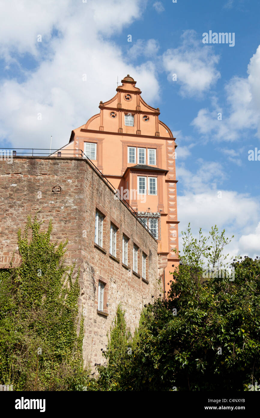 Burg Hirschhorn, verweigert Schloss, im Neckartal, Hessen, Deutschland Stockfoto