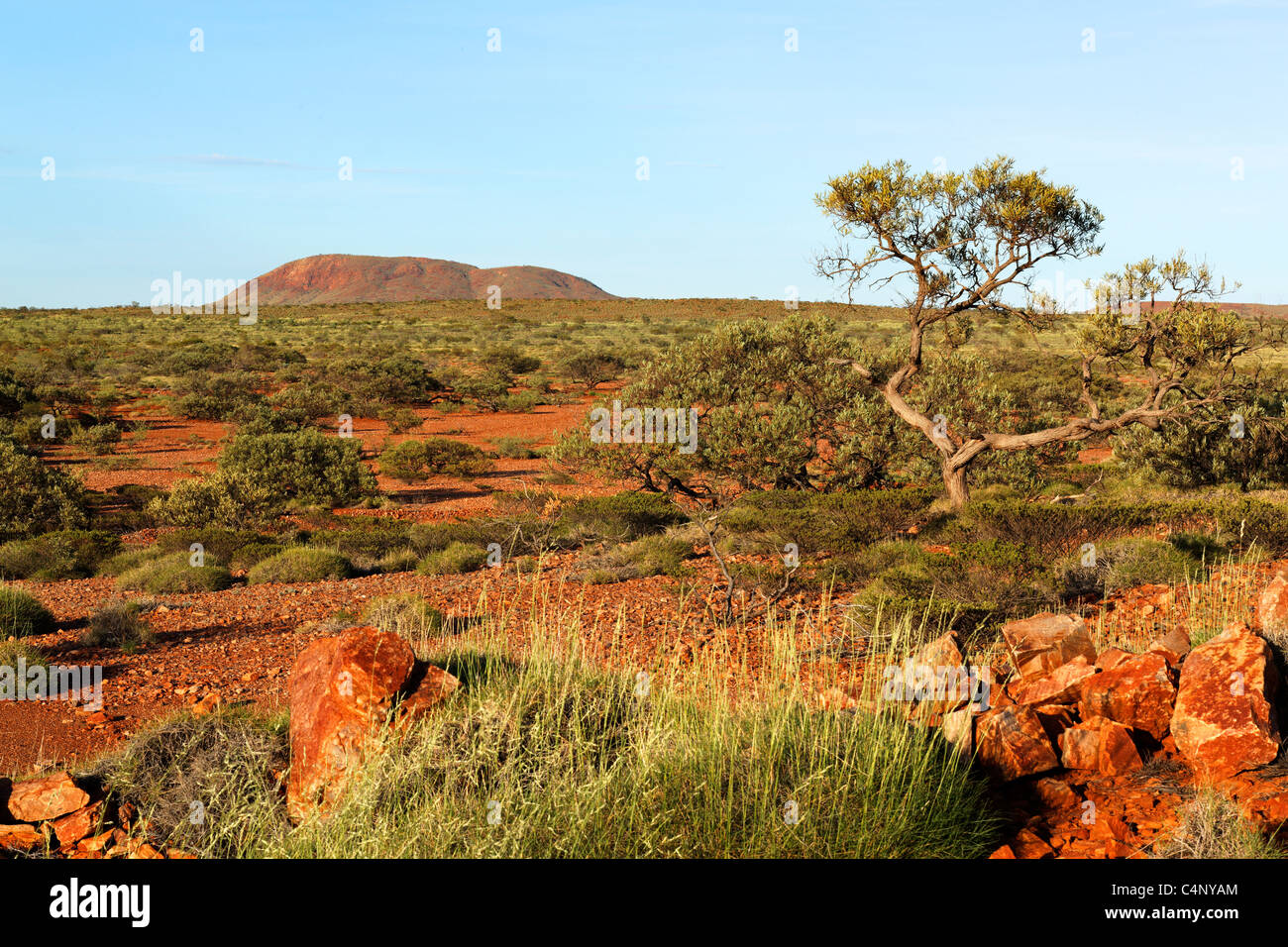 Australische Outback-Landschaft, Pilbara Westaustraliens Stockfoto