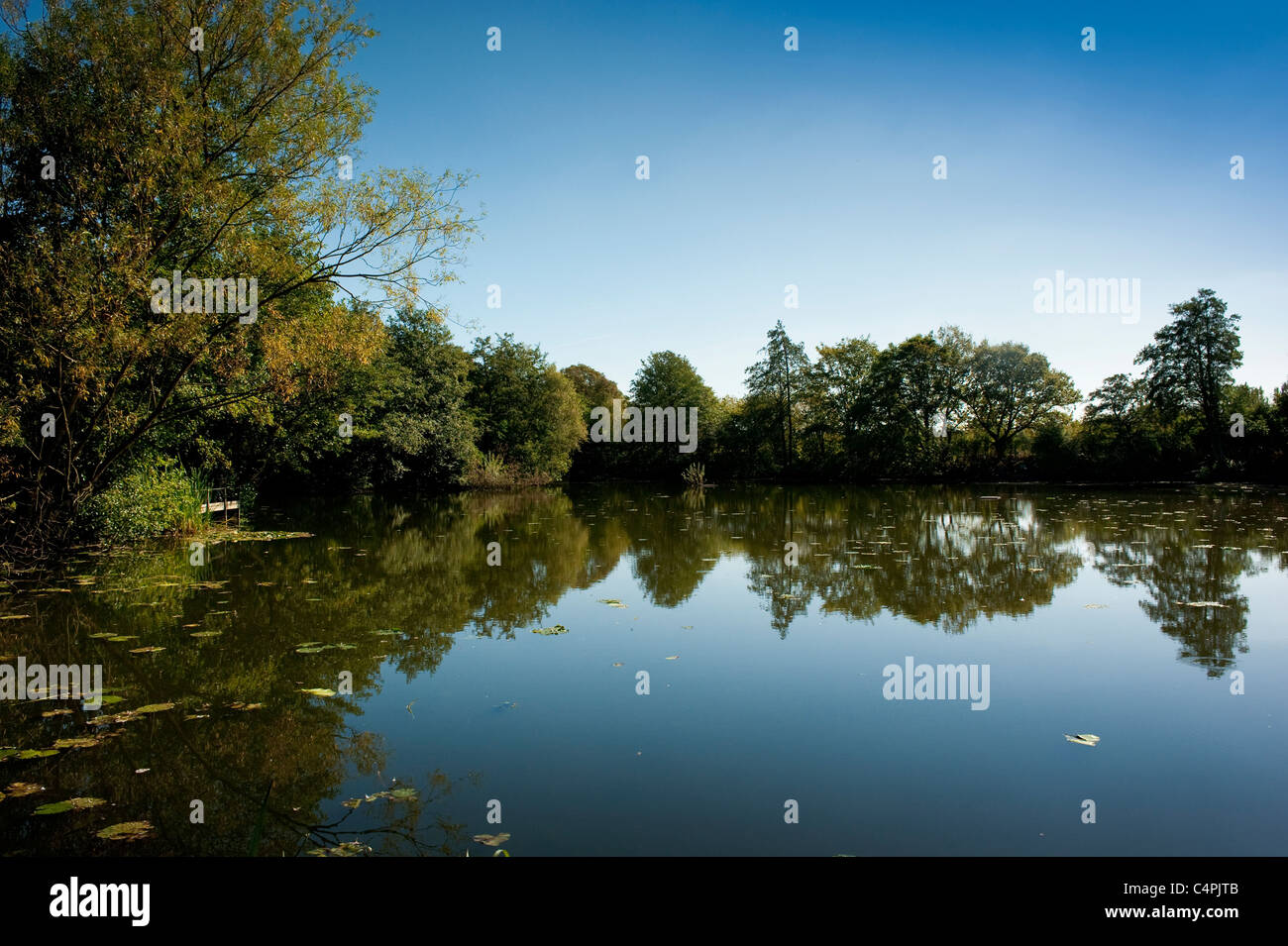 Ehemalige Ziegelarbeiten Tongrube jetzt New Earswick Nature Reserve, York, Großbritannien. Stockfoto