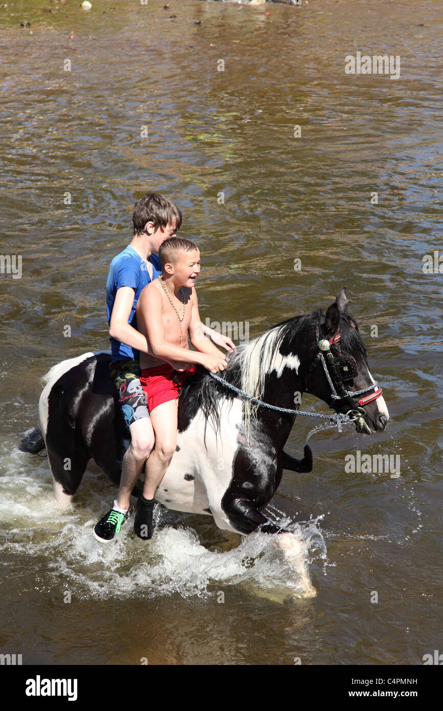 Gypsy Jungen schwimmen ein Pferd in Appleby Horse Fair, Appleby In Westmorland, Cumbria, England, Großbritannien Stockfoto