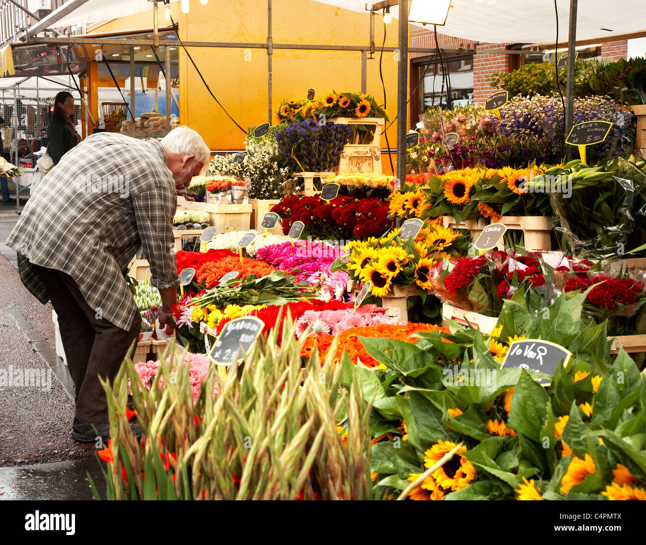 Blume Stand auf Albert Cuyp Markt in Amsterdam. Stockfoto