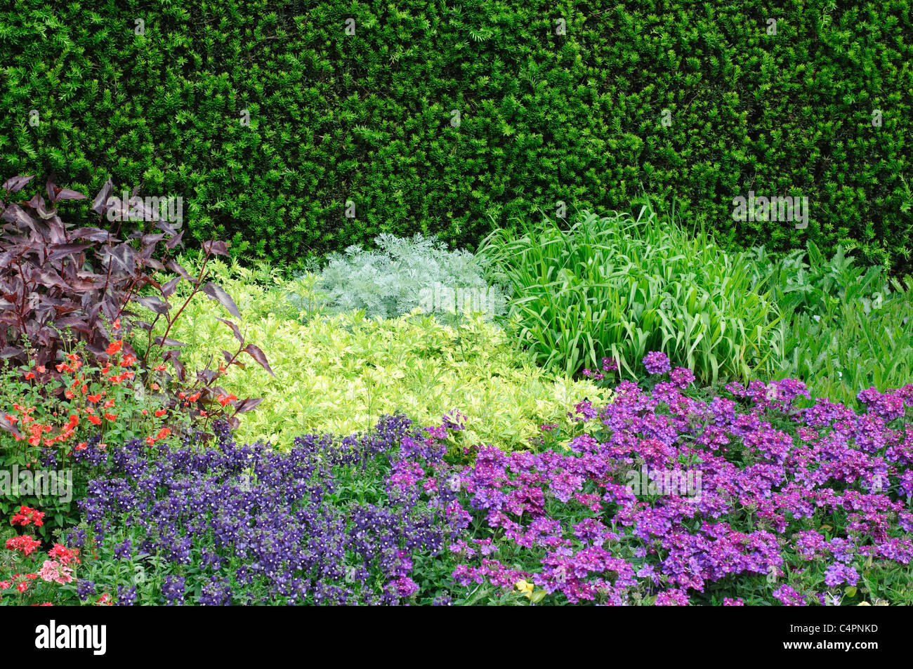 Englische Blumenbeete im Garten, Norfolk, England. Stockfoto