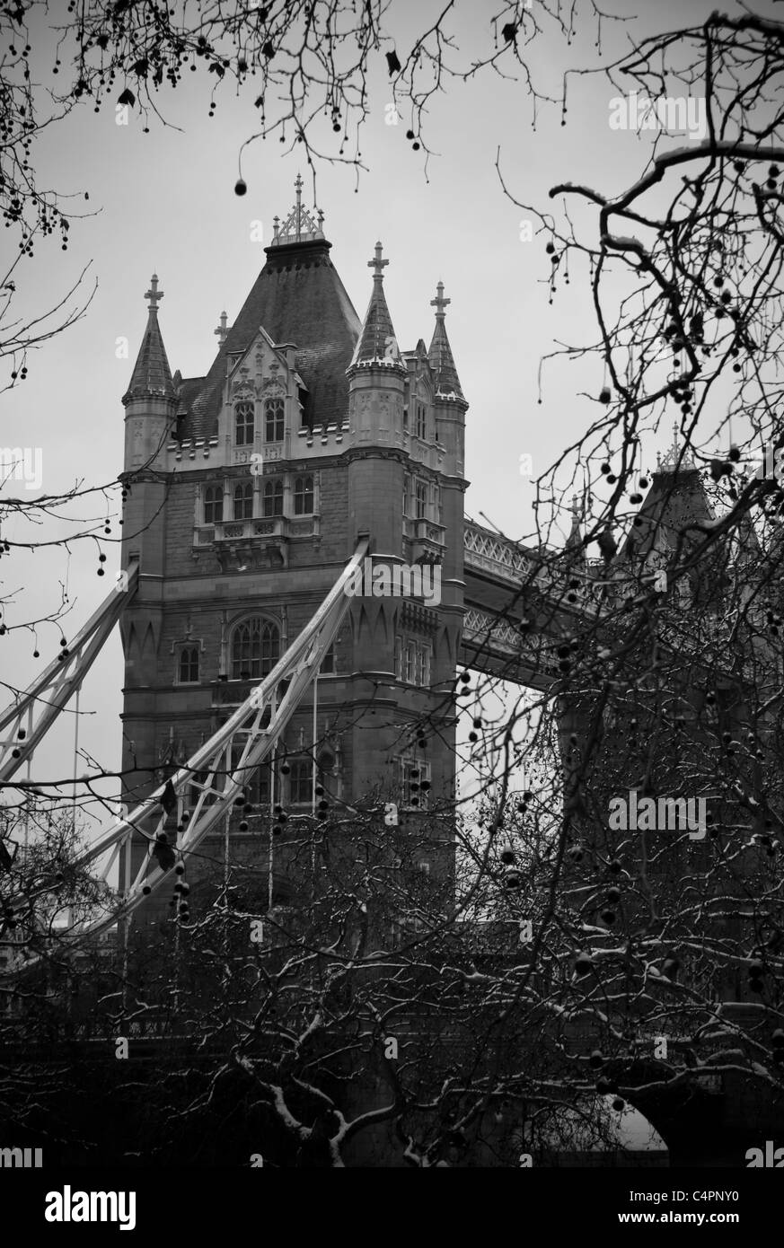 Tower Bridge in London durch die Bäume Stockfoto