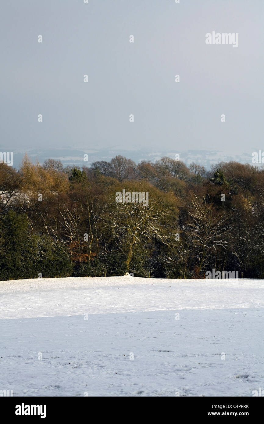 Schneebedeckte Felder Hecken und Bäume Winter durch einen Fußweg Alderley Edge Cheshire England Stockfoto