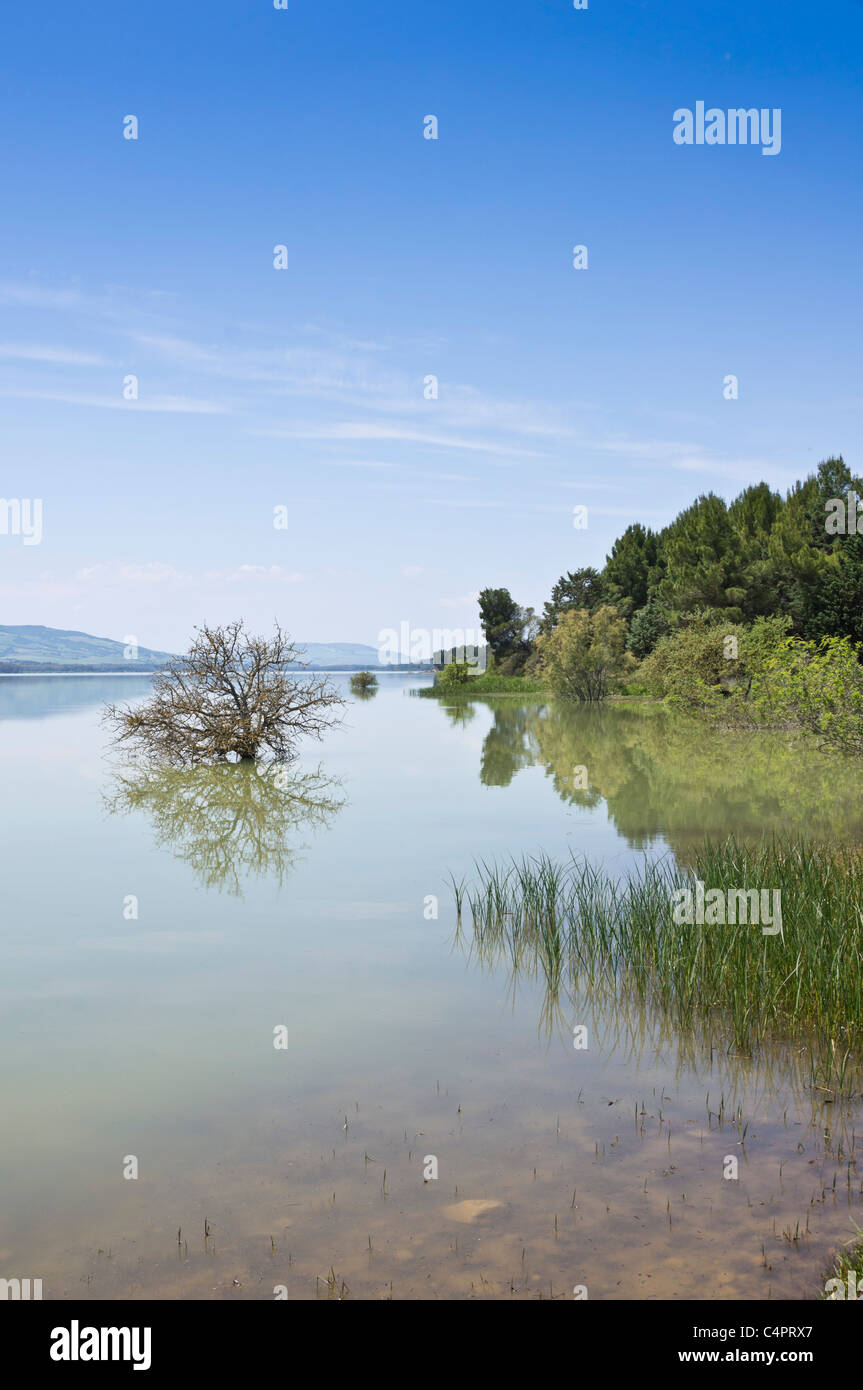 Lago San Giuliano Stausee in der Nähe von Matera, eine World Wildlife Fund "Oase" künstlichen aus ein kleiner Natursee. Stockfoto