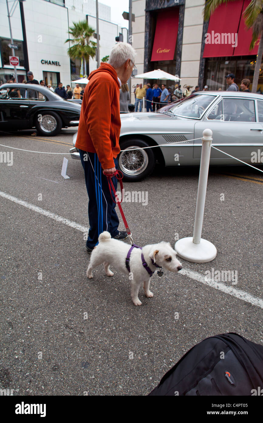 Ein Mann mit seinem Hund am 2011 Rodeo Drive Concours Stockfoto