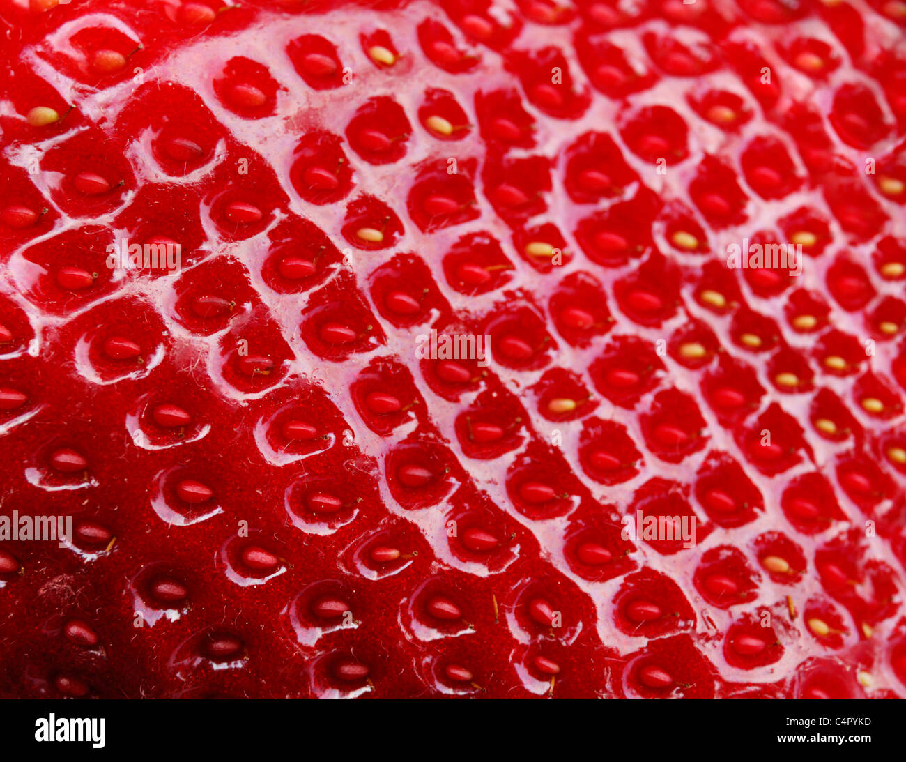 Closeup Textur für eine Reife Erdbeere Stockfoto