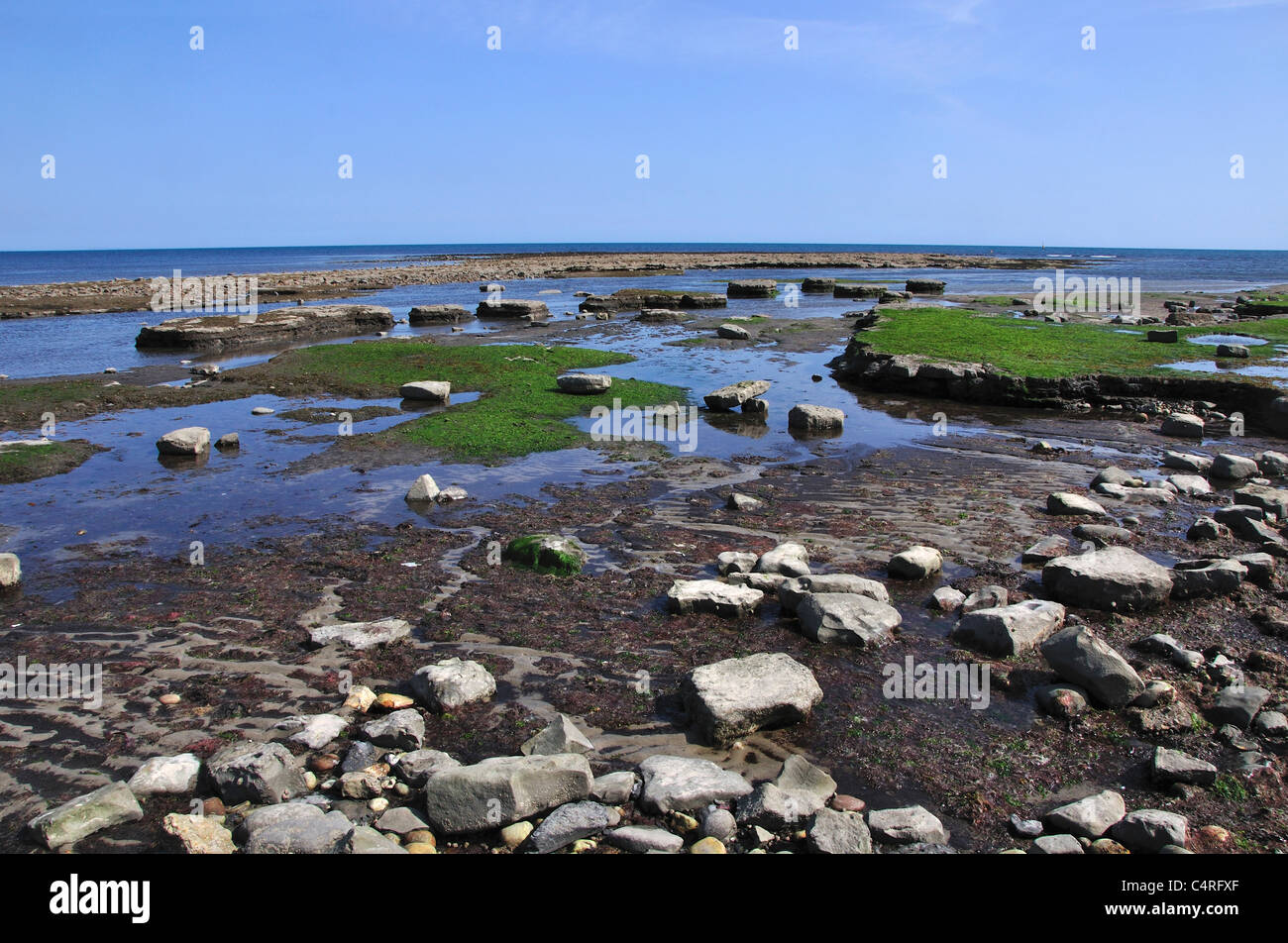 Ebbe am breiten Sims, Lyme Regis, Dorset, Großbritannien Mai 2011 Stockfoto