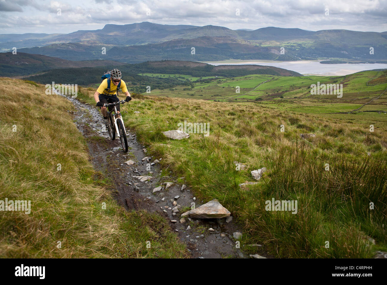 Mountainbiker reitet auf einen felsigen Pfad in Snowdonia, Wales, Vereinigtes Königreich Stockfoto