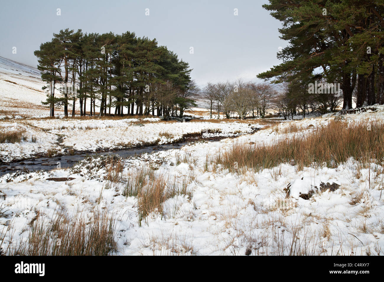 Oberen Neuadd Reservoir, Brecon Beacons National Park, Wales Stockfotografie Alamy