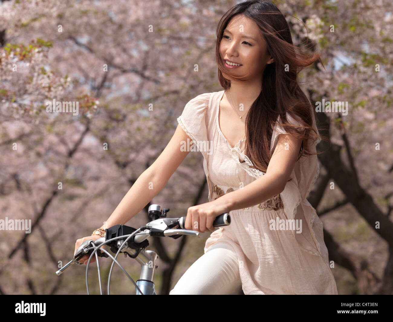 Führerschein erhältlich unter MaximImages.com - eine lächelnde Asiatin, die in einem Park mit dem Fahrrad neben blühenden Kirschbäumen fährt Stockfoto