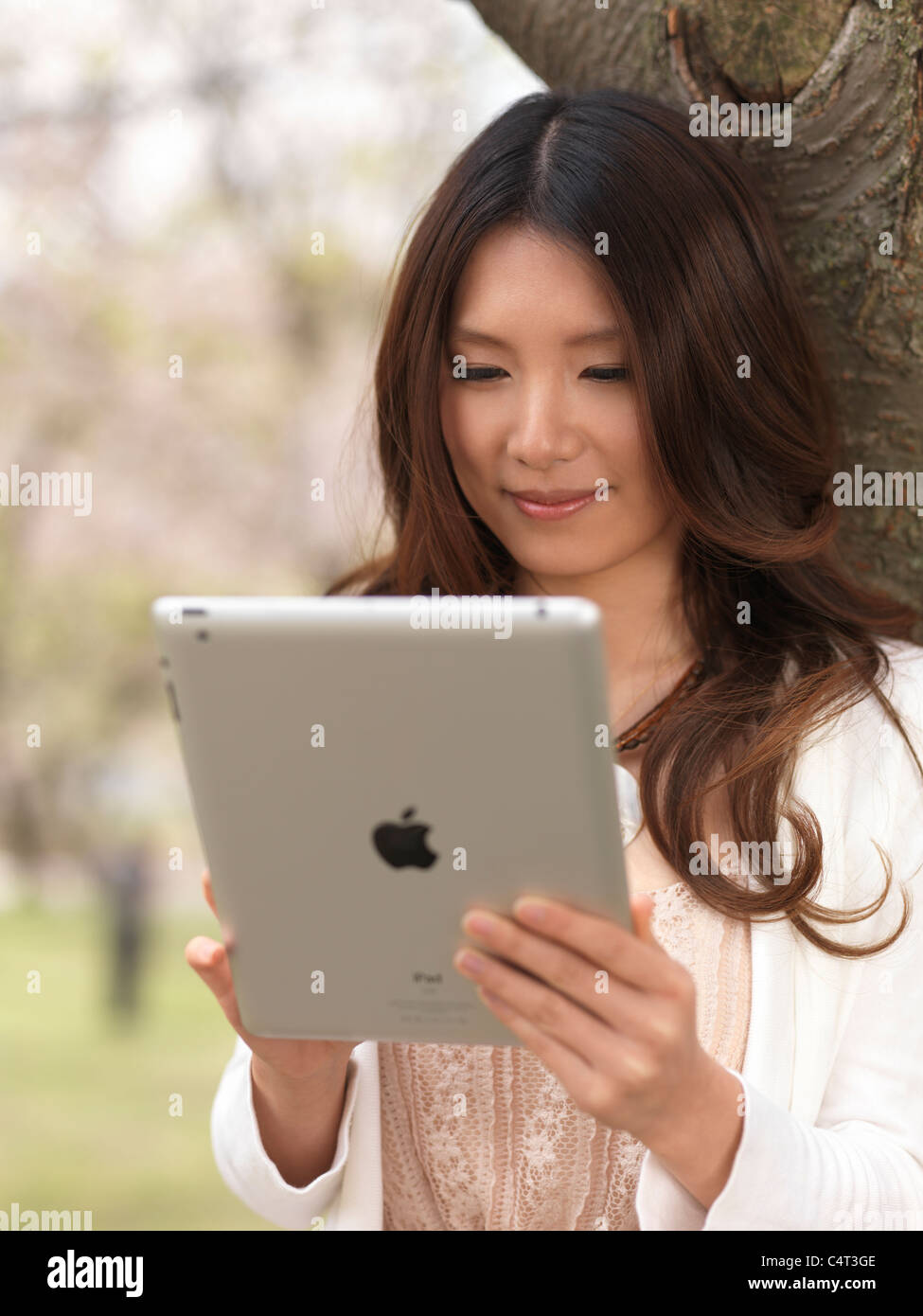 Führerschein erhältlich unter MaximImages.com - Junge Asiatin mit iPad in einem Park unter einem Kirschbaum Stockfoto