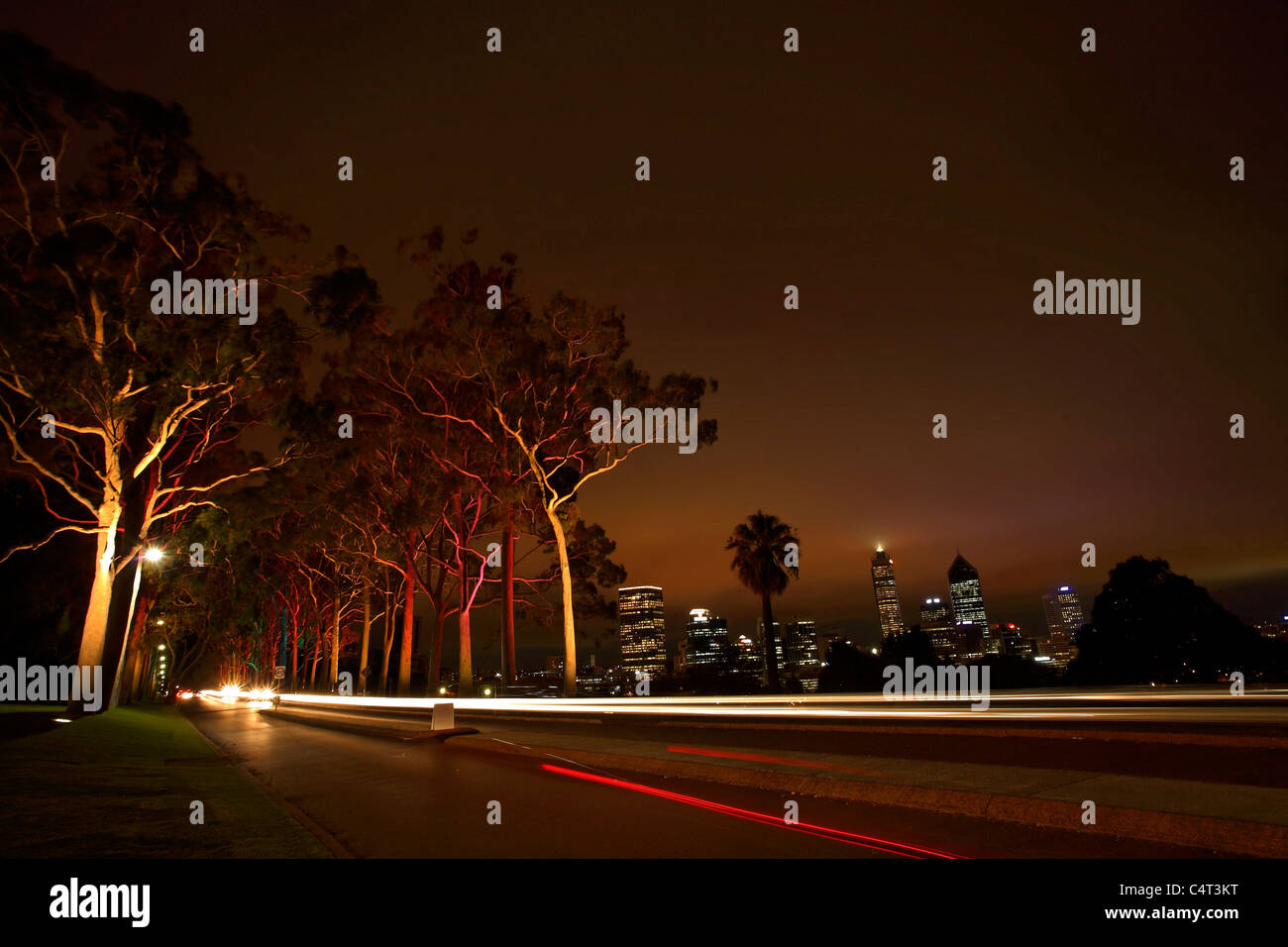 Nachtbeleuchtung Eukalyptus Zitrone duftenden Eukalyptusbäumen im Kings Park mit Perth Skyline, Western Australia, Australien Stockfoto