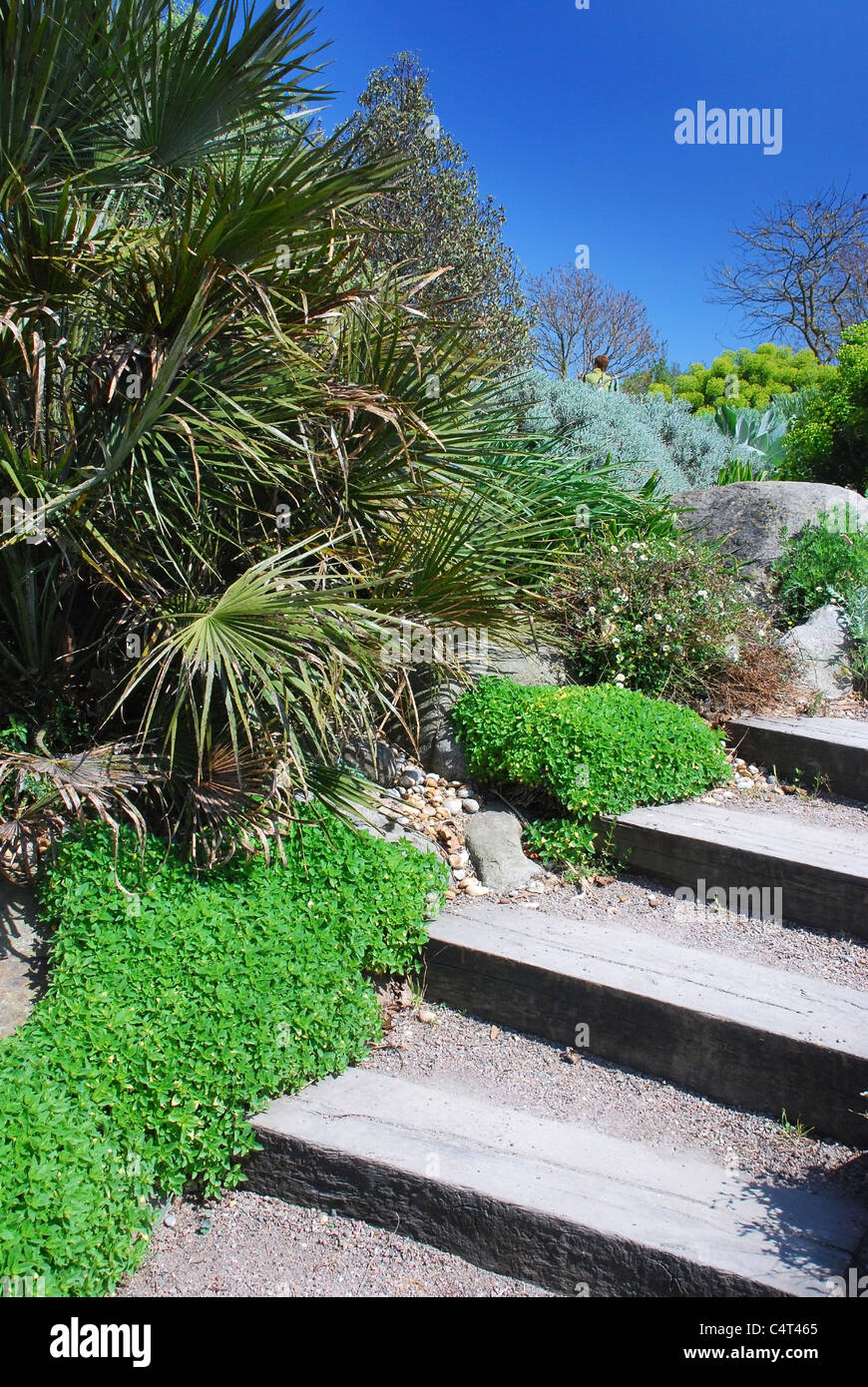 Blick auf den Garten, Schritte, blauer Himmel, Frühling Stockfoto