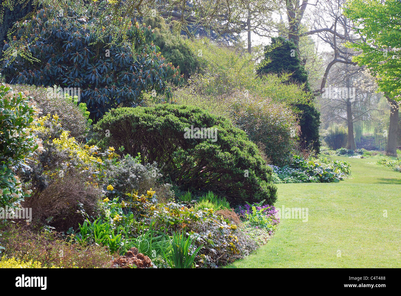 Blick auf den Garten, Blüte, blühenden Garten, Frühling Stockfoto