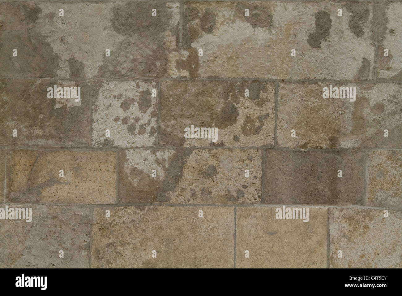 Hochauflösende Stein Wand Textur Stockfoto