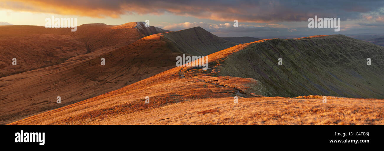 Mais-Du, Pen y Fan, Cribyn und Fan y groß, Brecon Beacons National Park, Wales Stockfoto