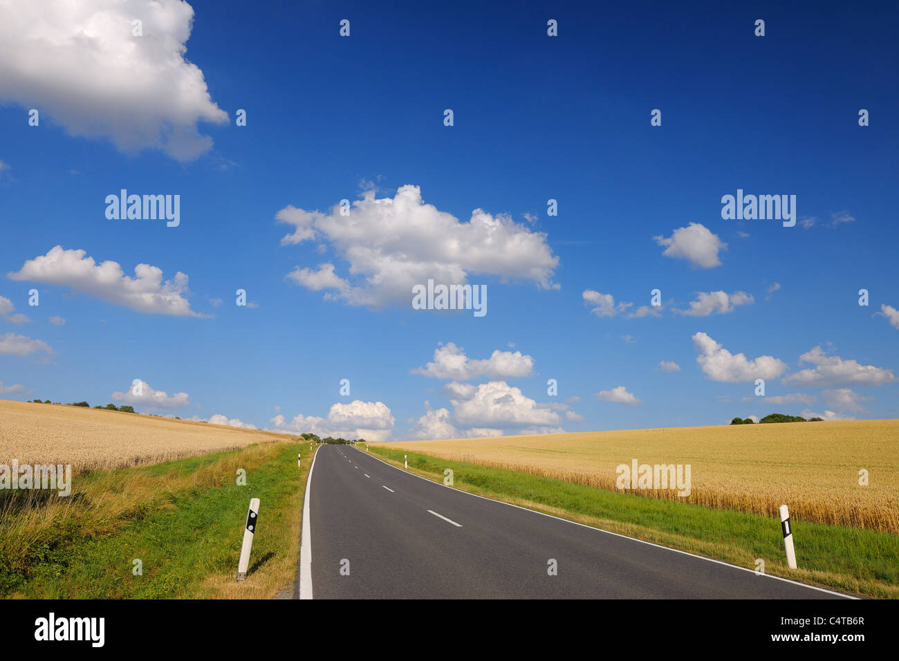 Landstraße und Weizenfeldern, Marktheidenfeld, Franken, Bayern, Deutschland Stockfoto