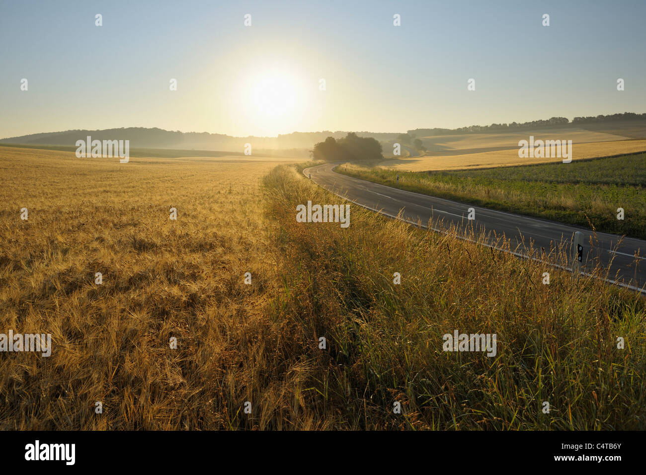 Landstraße und Weizenfelder, Hettstadt, Landkreis Würzburg, Franken, Bayern, Deutschland Stockfoto