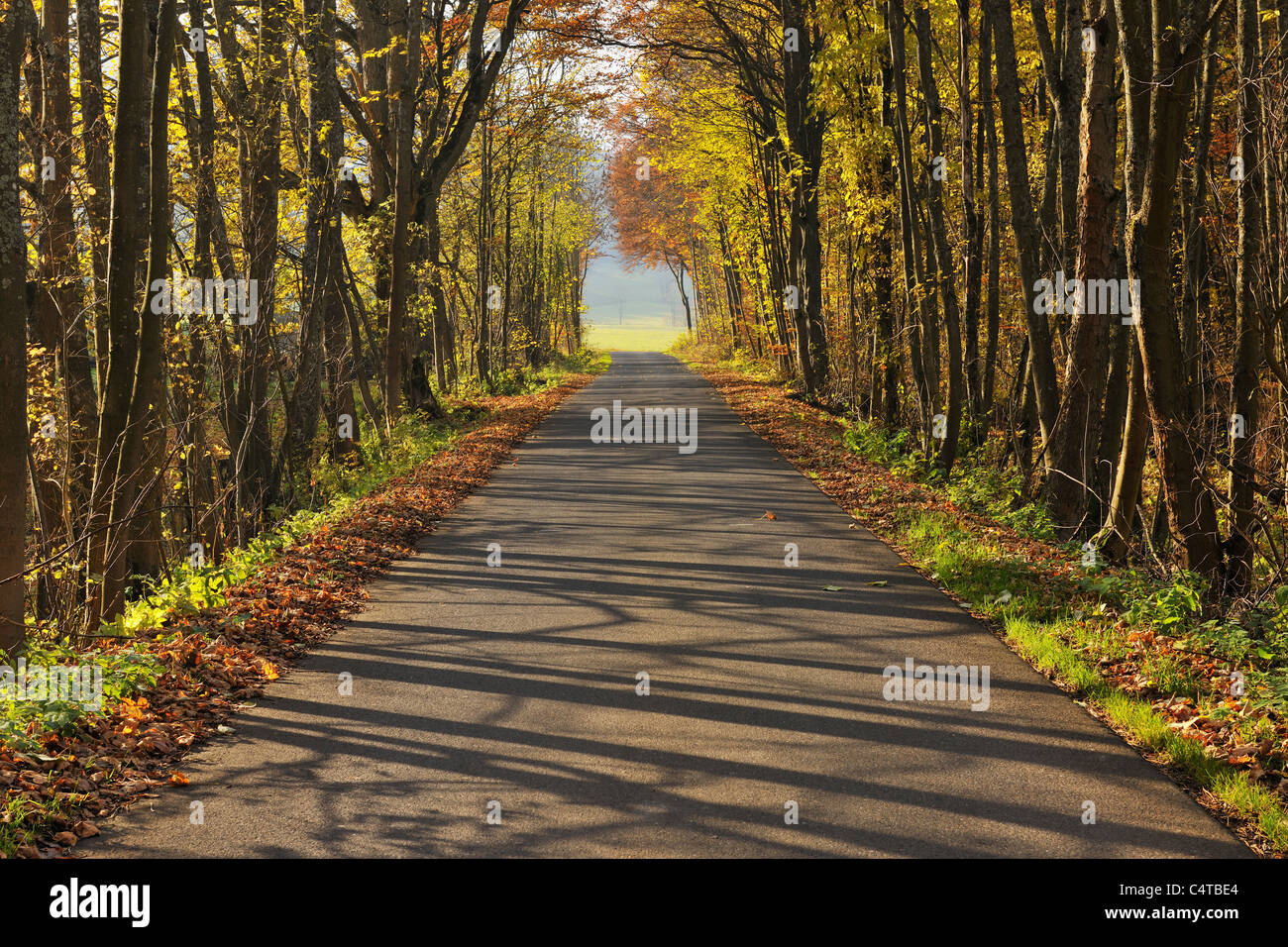 Single Track Road, Rhön Berge, Bayern, Deutschland Stockfoto