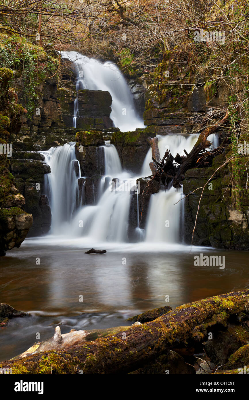 Lower Cilhepste Falls in der Nähe von Sgwd Eira, Brecon Beacons National Park, Wales Stockfoto