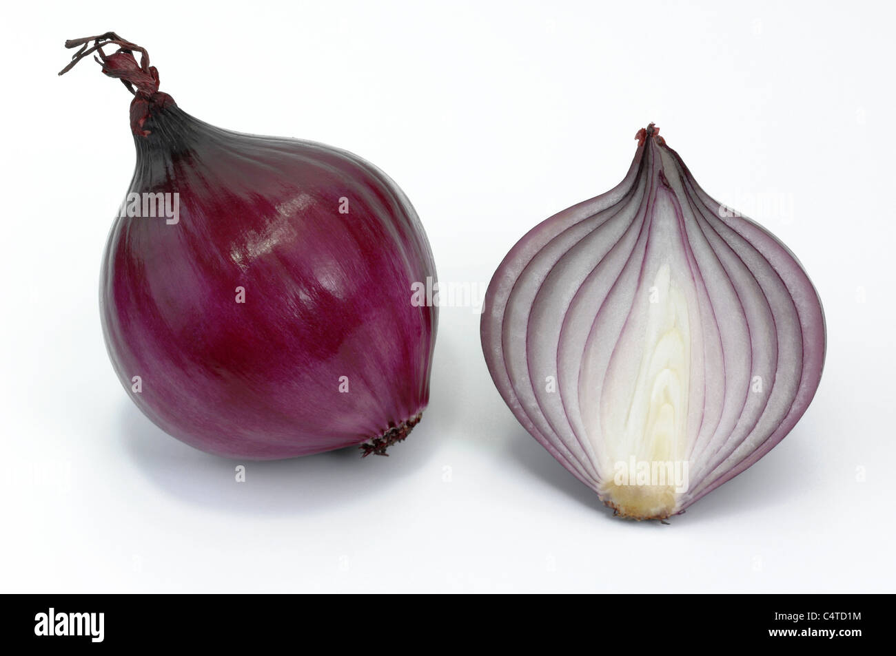 Garten-Zwiebel (Allium Cepa). Rote Zwiebel, ganze und halbierte. Studio Bild vor einem weißen Hintergrund. Stockfoto
