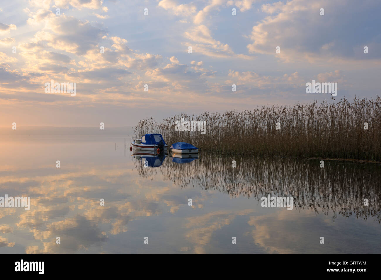 Festgemachten Boote von Schilf bei Sonnenaufgang, Plauer See, Plau bin, siehe, Mecklenburgische Seenplatte, Mecklenburg-Vorpommern, Deutschland Stockfoto