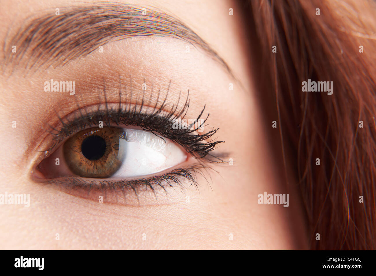 Nahaufnahme eines Womans braune Augen mit falschen Wimpern Stockfoto