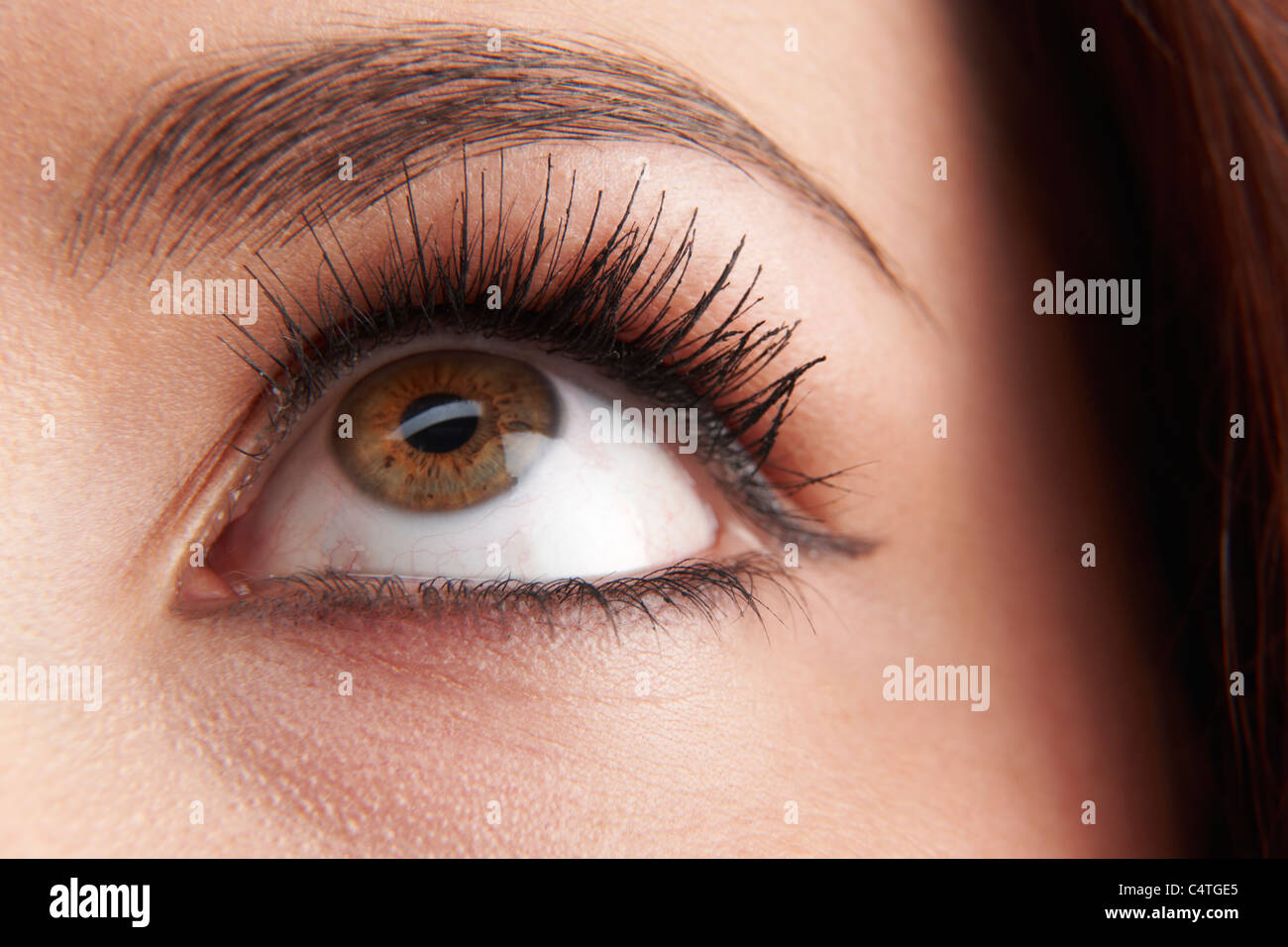 Nahaufnahme eines Womans braune Augen mit falschen Wimpern Stockfoto