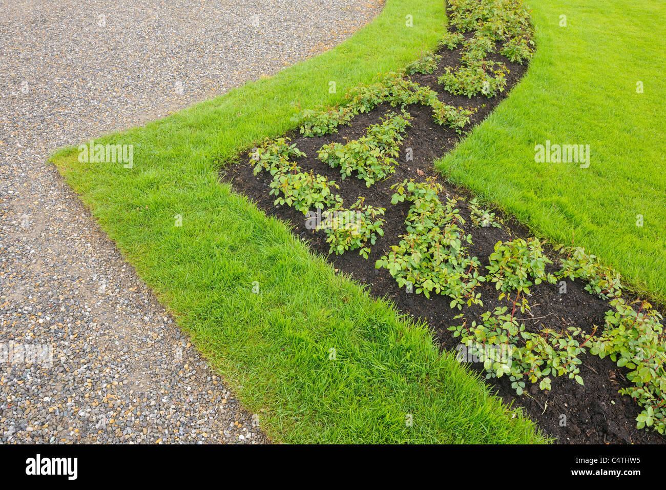 Detail der Schlossgarten, Schloss Zeil, Leutkirch, Allgäu, Baden-Württemberg, Deutschland Stockfoto