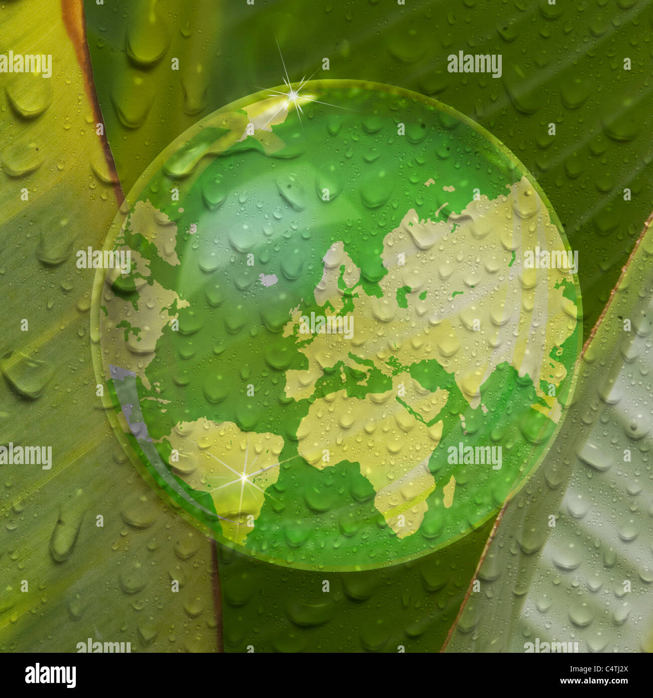 Karte der Erde spiegelt sich in Tröpfchen des Wassers auf Pflanzenblattes Stockfoto