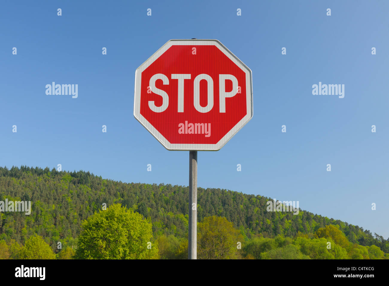 Stoppschild vor der Wald, Pfalzerwald, Rheinland-Pfalz, Deutschland Stockfoto