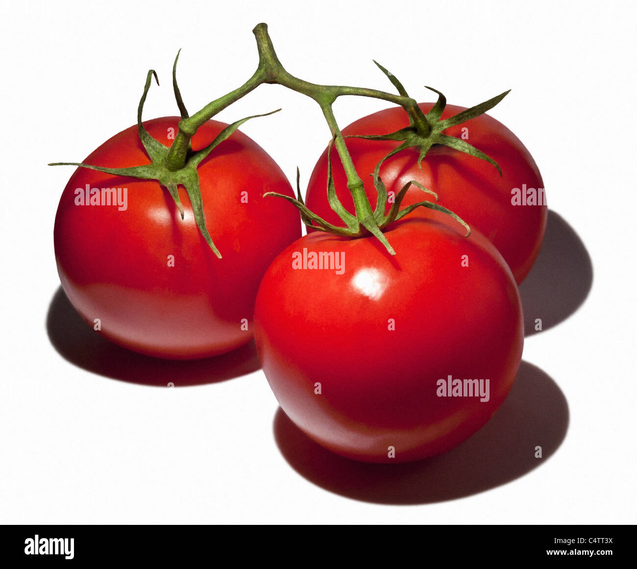 DREI TOMATEN MIT GRÜNEN STAMMT STILLLEBEN Stockfoto