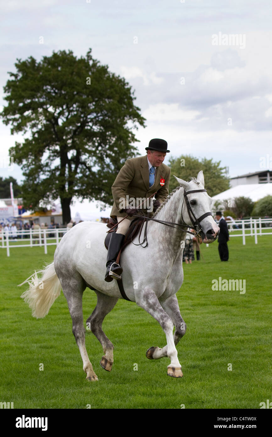Graues Pferd mit Jockey   Jäger bei der Royal Highland Show   Ingliston Edinburgh 2011, Schottland, UK Stockfoto